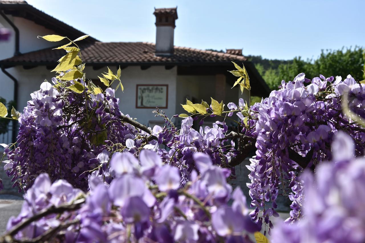 Al Vecchio Glicine Bed and Breakfast Gábria Buitenkant foto